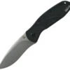 Kershaw Blur Linerlock A/O Knife Stonewash S30V Stainless 4.5" - 1670S30V