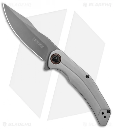 Kershaw Believer Assisted Opening Knife Stainless Steel (3.25" Gray PVD) 2070