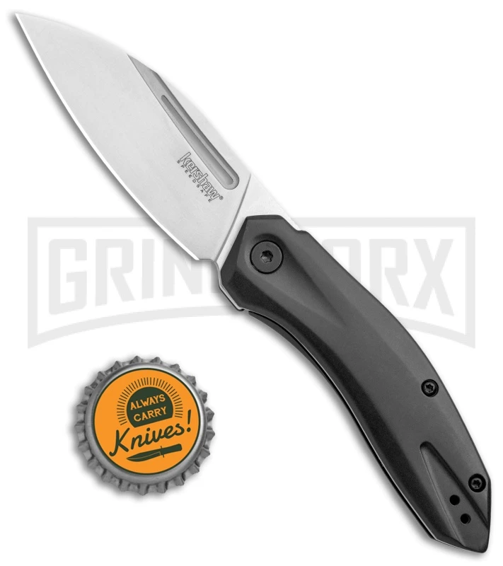 Kershaw Turismo Assisted Opening Knife - Satin Plain - Image 4