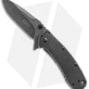 Kershaw Cryo II Assisted Opening Knife (3.25" BlackWash) 1556BW