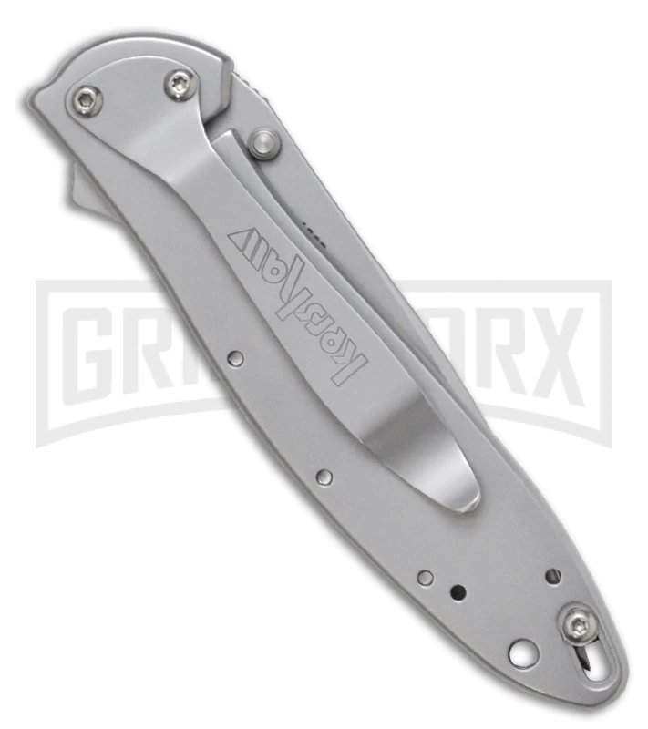 Kershaw Leek Assisted Opening Knife - Bead Blast Plain - Image 2