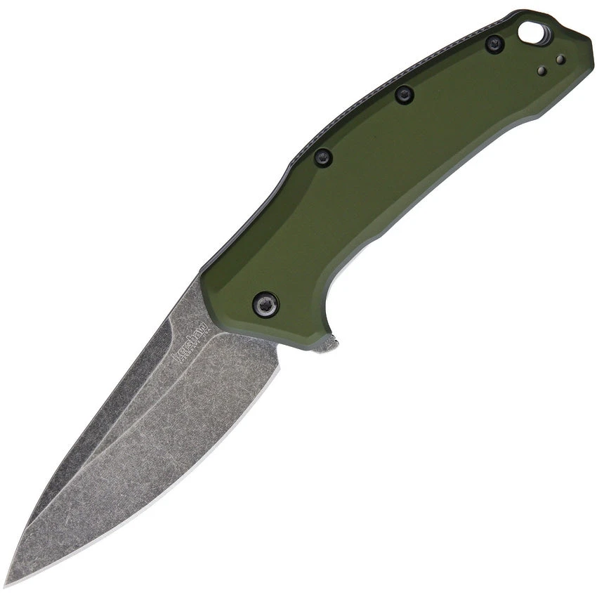 Kershaw Link Linerlock A/O Olive Green 420HC Folding Pocket Knife 1776OLBW